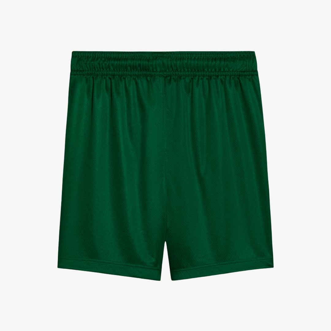 2025/26 Kids Kit Palmeiras II Fan
