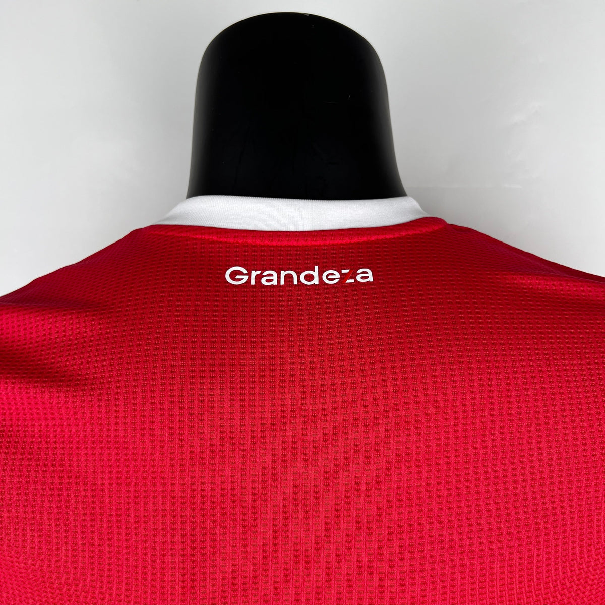 2023/24 RIVER PLATE I MEN'S (PLAYER VERSION)