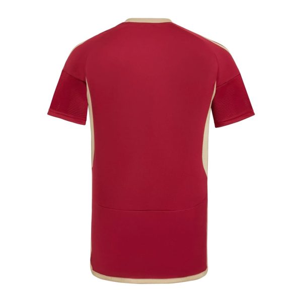 Jersey VENEZUELA I 2024 MEN'S