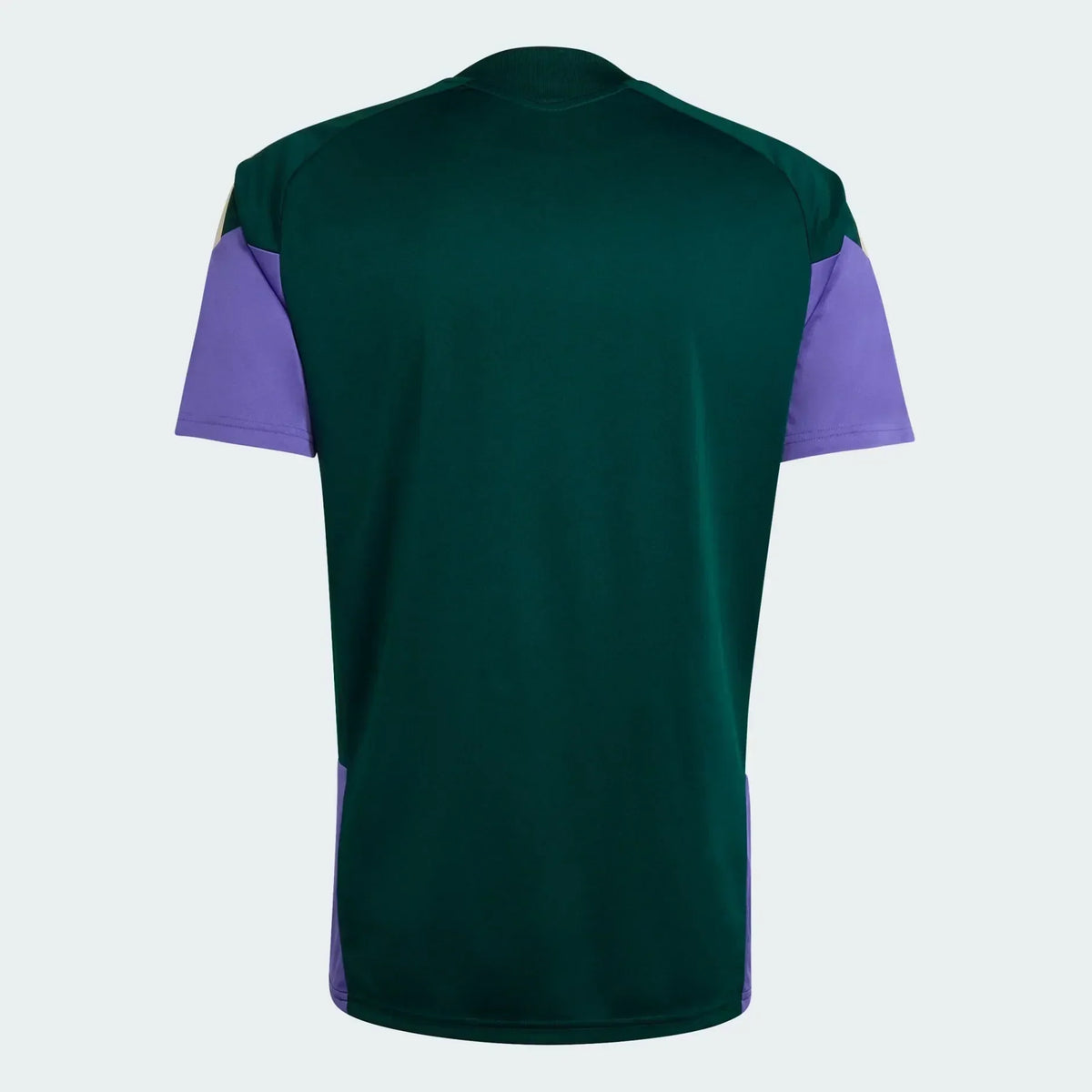 2026 Jersey Saudi Arabia Training World Cup