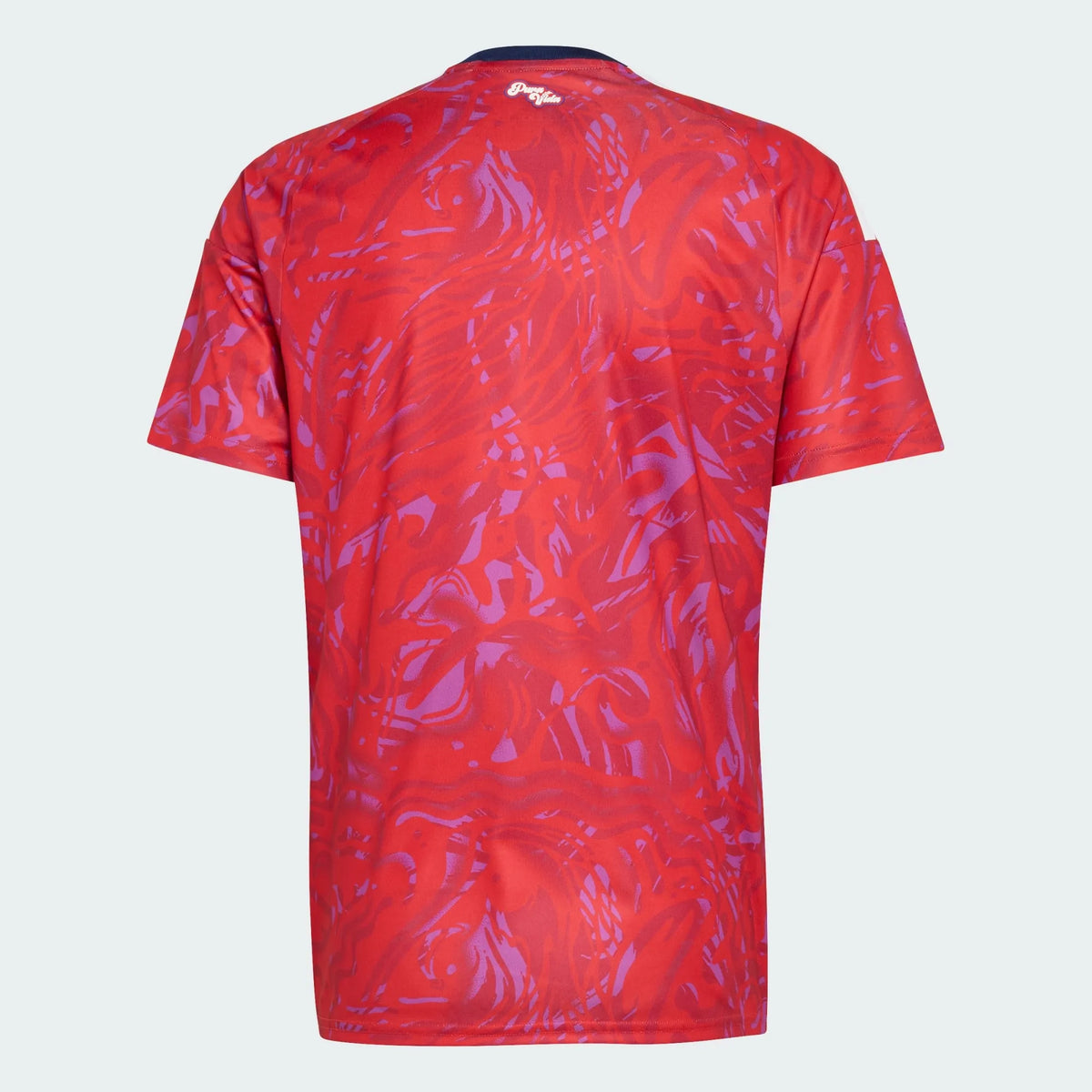 2026 Jersey Costa Rica I Fan World Cup