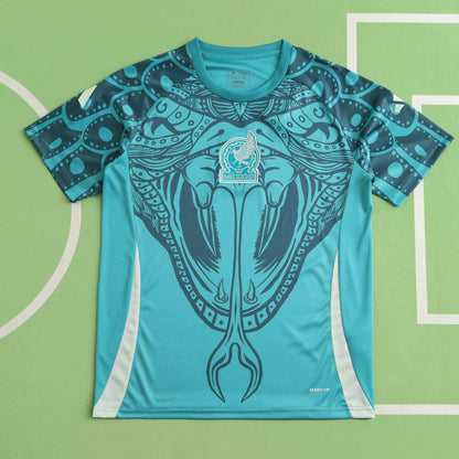 Mexico Training Jersey