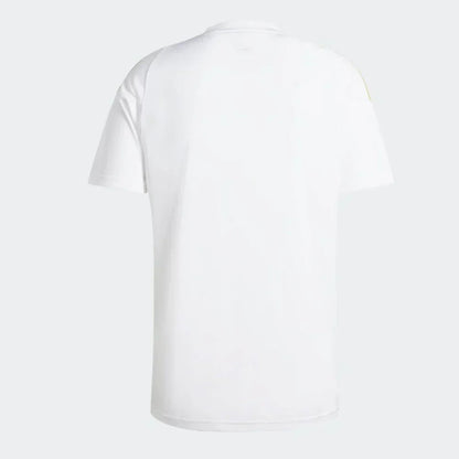ARGENTINA SPECIAL EDITION MESSI I 24/25 MEN'S