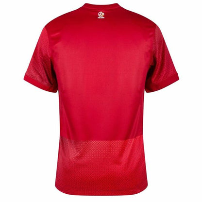 Jersey POLAND II EURO 2024 MEN'S