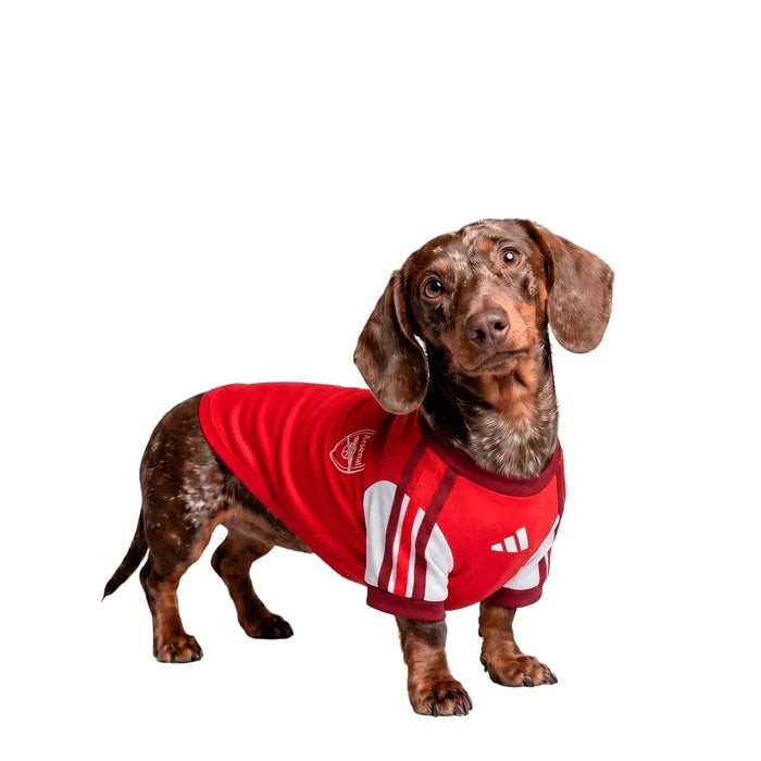 Arsenal 26/27 Home Dog Jersey