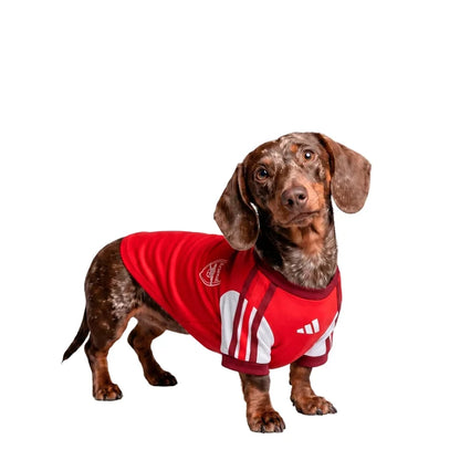 Arsenal 26/27 Home Dog Jersey