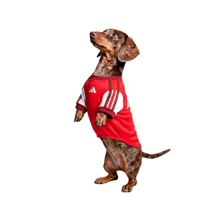 Arsenal 26/27 Home Dog Jersey